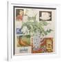 Ephemera, including coffee cup, cigarette packs; postcard and tulips-Jennifer Abbott-Framed Giclee Print