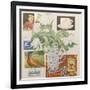 Ephemera, including coffee cup, cigarette packs; postcard and tulips-Jennifer Abbott-Framed Giclee Print