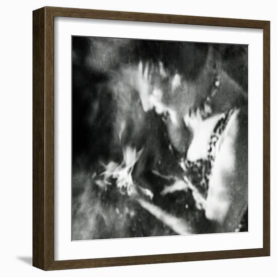 Ephemera-Gideon Ansell-Framed Photographic Print