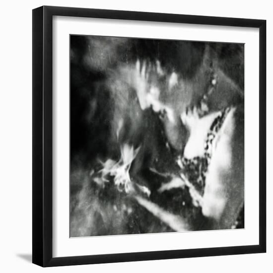 Ephemera-Gideon Ansell-Framed Photographic Print