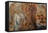 Ephemeral Beauty-10-Moises Levy-Framed Stretched Canvas