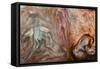 Ephemeral Beauty-11-Moises Levy-Framed Stretched Canvas