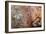 Ephemeral Beauty-11-Moises Levy-Framed Photographic Print