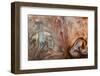 Ephemeral Beauty-11-Moises Levy-Framed Photographic Print