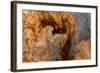 Ephemeral Beauty-12-Moises Levy-Framed Photographic Print