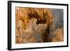 Ephemeral Beauty-12-Moises Levy-Framed Photographic Print