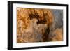 Ephemeral Beauty-12-Moises Levy-Framed Photographic Print