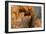 Ephemeral Beauty-12-Moises Levy-Framed Photographic Print