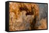 Ephemeral Beauty-12-Moises Levy-Framed Stretched Canvas