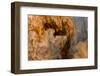 Ephemeral Beauty-12-Moises Levy-Framed Photographic Print