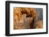 Ephemeral Beauty-12-Moises Levy-Framed Photographic Print