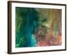 Ephemeral Beauty-16-Moises Levy-Framed Photographic Print