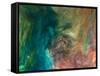 Ephemeral Beauty-16-Moises Levy-Framed Stretched Canvas