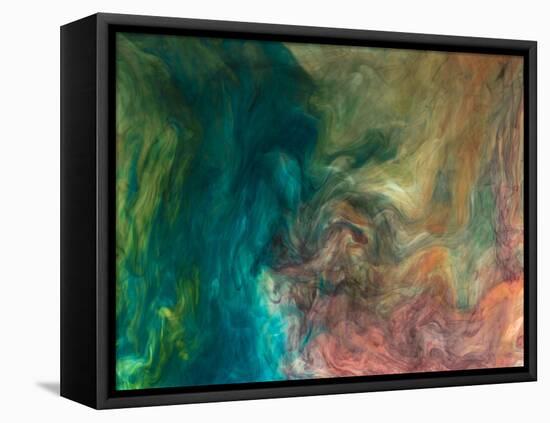 Ephemeral Beauty-16-Moises Levy-Framed Stretched Canvas