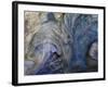 Ephemeral Beauty-1-Moises Levy-Framed Photographic Print