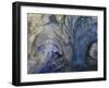 Ephemeral Beauty-1-Moises Levy-Framed Photographic Print