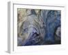 Ephemeral Beauty-1-Moises Levy-Framed Photographic Print