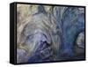 Ephemeral Beauty-1-Moises Levy-Framed Stretched Canvas