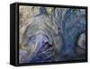 Ephemeral Beauty-1-Moises Levy-Framed Stretched Canvas