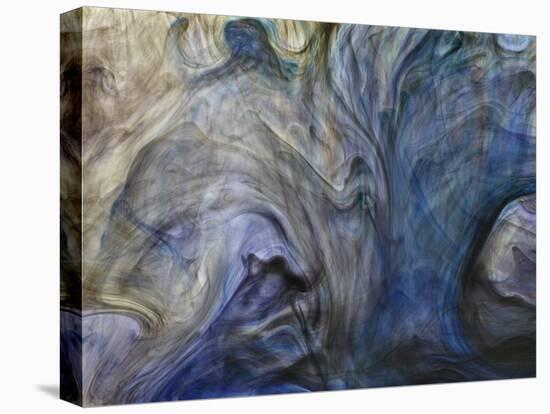 Ephemeral Beauty-1-Moises Levy-Stretched Canvas
