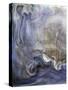 Ephemeral Beauty-2-Moises Levy-Stretched Canvas