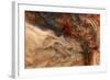 Ephemeral Beauty-5-Moises Levy-Framed Photographic Print