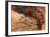 Ephemeral Beauty-5-Moises Levy-Framed Photographic Print