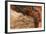 Ephemeral Beauty-5-Moises Levy-Framed Photographic Print