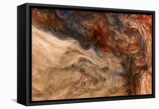 Ephemeral Beauty-5-Moises Levy-Framed Stretched Canvas
