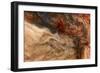 Ephemeral Beauty-5-Moises Levy-Framed Photographic Print