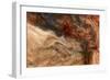 Ephemeral Beauty-5-Moises Levy-Framed Photographic Print