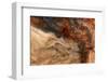 Ephemeral Beauty-5-Moises Levy-Framed Photographic Print