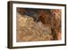 Ephemeral Beauty-6-Moises Levy-Framed Photographic Print