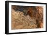 Ephemeral Beauty-6-Moises Levy-Framed Photographic Print