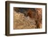 Ephemeral Beauty-6-Moises Levy-Framed Photographic Print