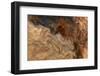 Ephemeral Beauty-6-Moises Levy-Framed Photographic Print