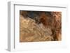 Ephemeral Beauty-6-Moises Levy-Framed Photographic Print