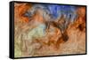 Ephemeral Beauty-7-Moises Levy-Framed Stretched Canvas