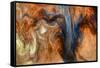 Ephemeral Beauty-8-Moises Levy-Framed Stretched Canvas