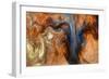 Ephemeral Beauty-8-Moises Levy-Framed Photographic Print