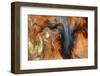 Ephemeral Beauty-8-Moises Levy-Framed Photographic Print