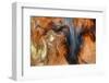 Ephemeral Beauty-8-Moises Levy-Framed Photographic Print