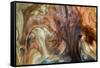 Ephemeral Beauty-9-Moises Levy-Framed Stretched Canvas