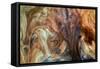 Ephemeral Beauty-9-Moises Levy-Framed Stretched Canvas