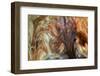 Ephemeral Beauty-9-Moises Levy-Framed Photographic Print