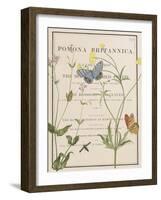 Ephemeral Bloom-Gwen Aspall-Framed Giclee Print