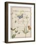 Ephemeral Bloom-Gwen Aspall-Framed Giclee Print