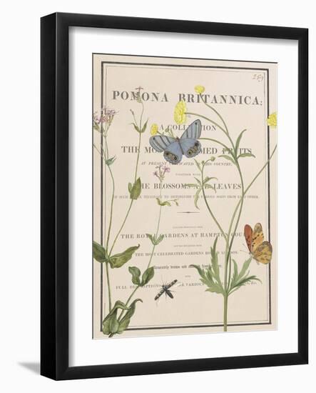Ephemeral Bloom-Gwen Aspall-Framed Giclee Print