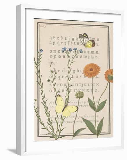 Ephemeral Flourish-Gwen Aspall-Framed Giclee Print