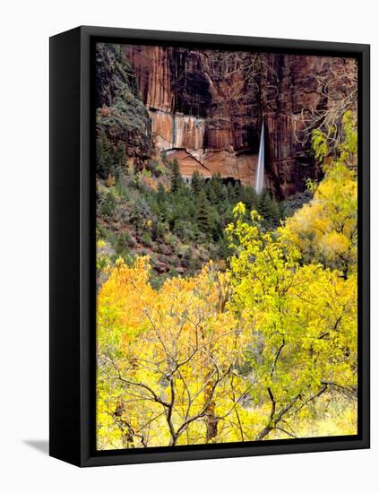 Ephemeral Waterfall, Zion National Park, Utah, USA-Scott T. Smith-Framed Stretched Canvas
